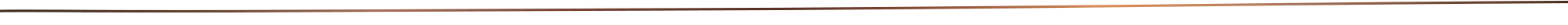 bronze_linie_schmal_transparent